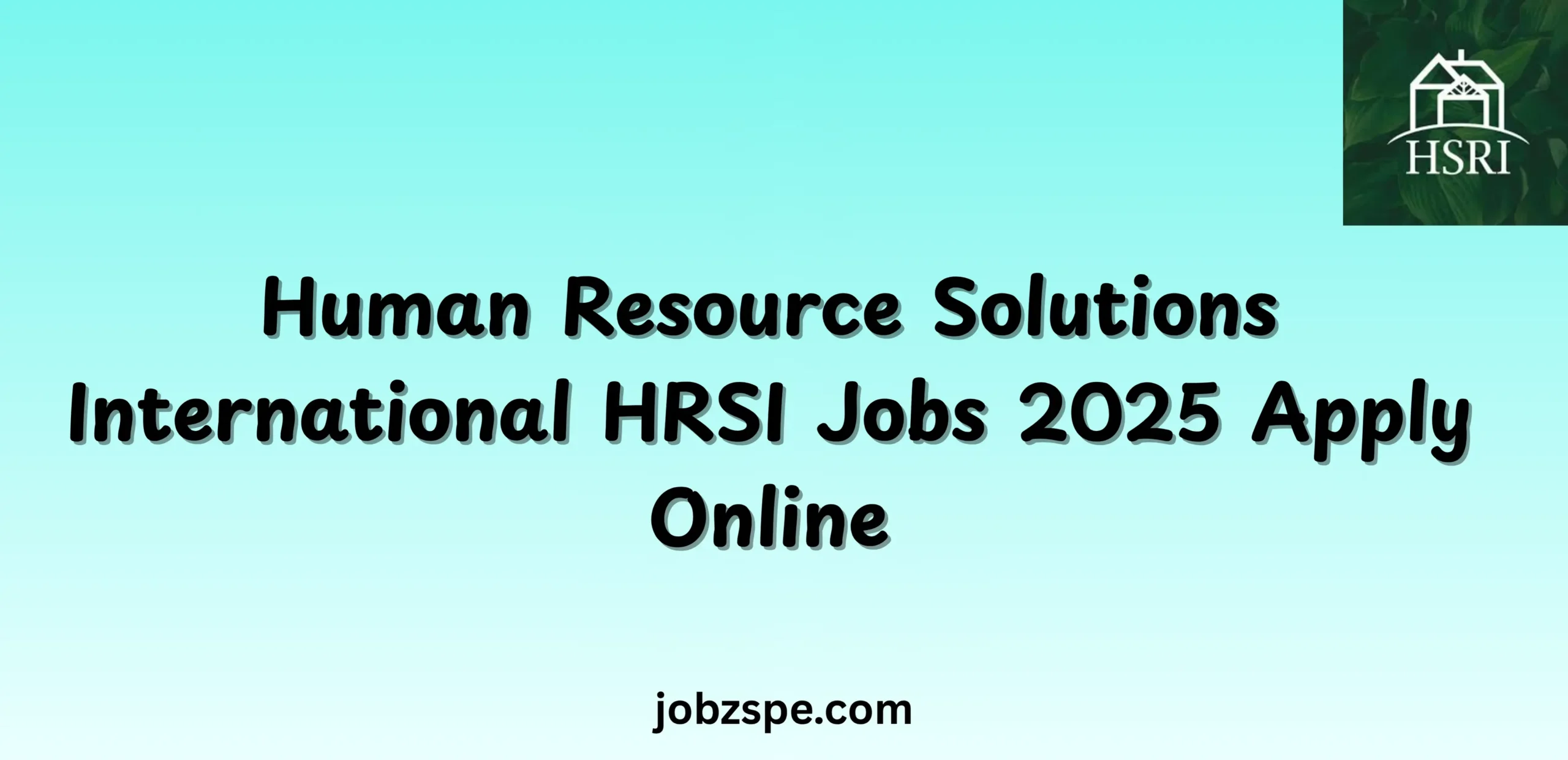 Human Resource Solutions International HRSI Jobs 2025 Apply Online